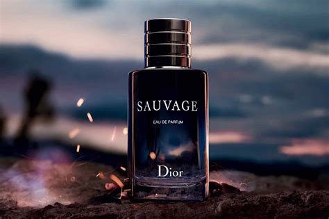 dior sauvage smells|which dior sauvage is best.